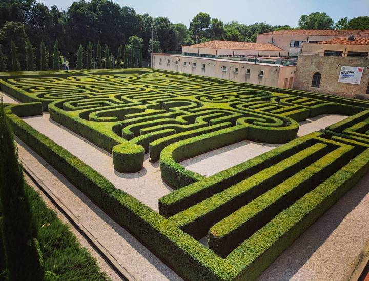 19986167_248139252369338_3291485643699388416_n